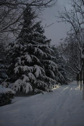 snowphotography-04698730260b.jpg