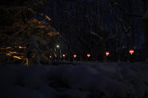 snowphotography-4a40f3ad12b7.jpg