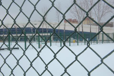 snowphotography-5be07a1343b2.jpg