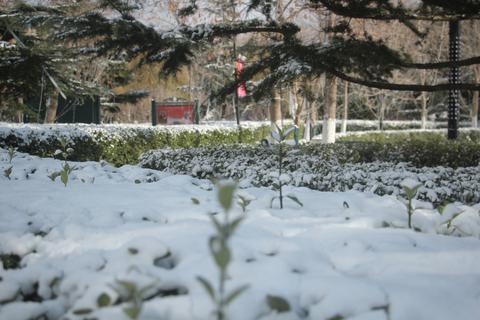 snowphotography-7777723d7cdb.jpg