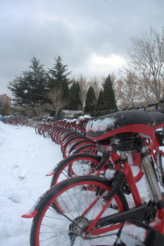 snowphotography-875e0c333e15.jpg