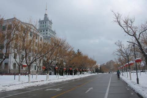 snowphotography-95e807c3e0b3.jpg