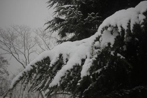 snowphotography-d20afaedbb49.jpg