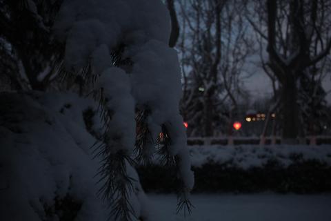 snowphotography-d61518884848.jpg